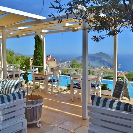Villa Mimosa, Lavanta, *