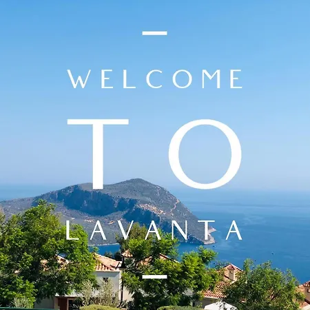Mimosa, Lavanta, * Kalkan